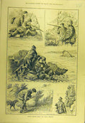 Original Old Antique Print 1887 Rough Shooting Cliffs Penzance Wild-Pigeons 19th