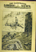 Original Old Antique Print 1886 Wapiti Hunting North-America Woodville Sport