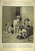 Original Old Antique Print 1893 Troublesome Family Dog Puppies Moody Victorian