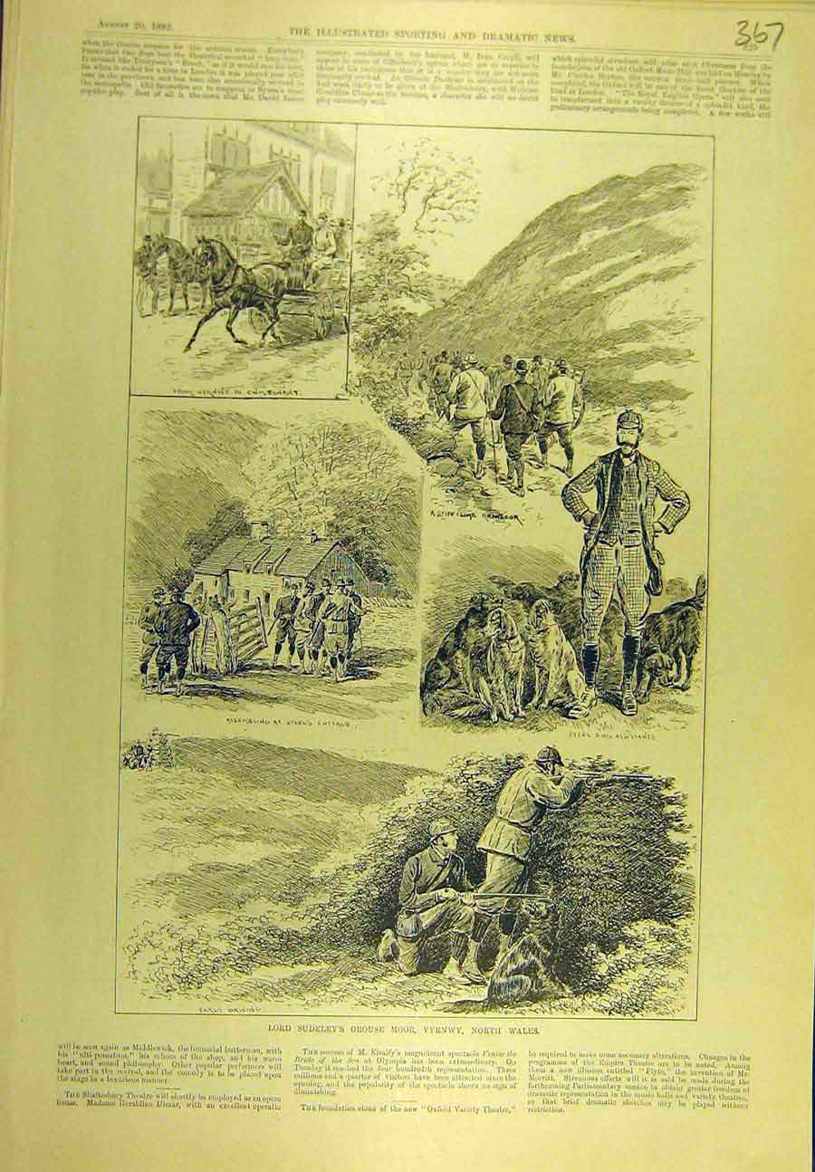 Original Old Antique Print 1892 Sudeley Grouse Moor Vyrnwy Wales Sport Victorian