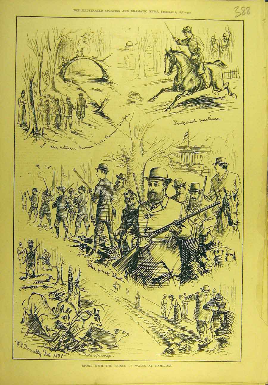 Original Old Antique Print 1878 Sport Prince Wales Hamilton Shooting Hunting