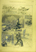 Original Old Antique Print 1880 Sport Marshes Game-Bird Ducks Shooting Victorian