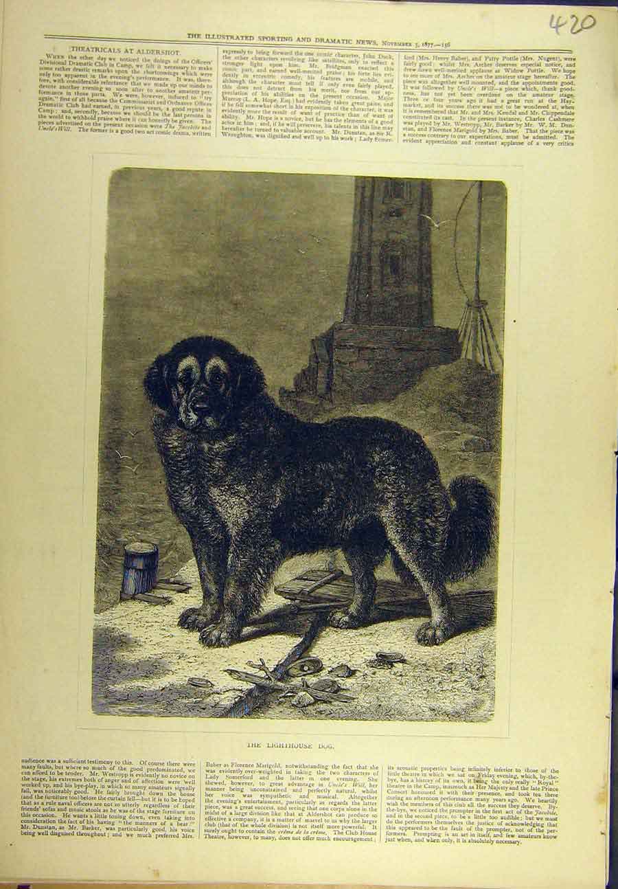 Original Old Antique Print 1877 Lighthouse Dog St. Bernard 19th