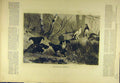 Original Old Antique Print 1877 Heathcock Ptarmigan Game-Bird Sport Victorian