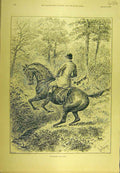 Original Old Antique Print 1894 Scattering Cubs Hunting Hounds Horse Sport 19th