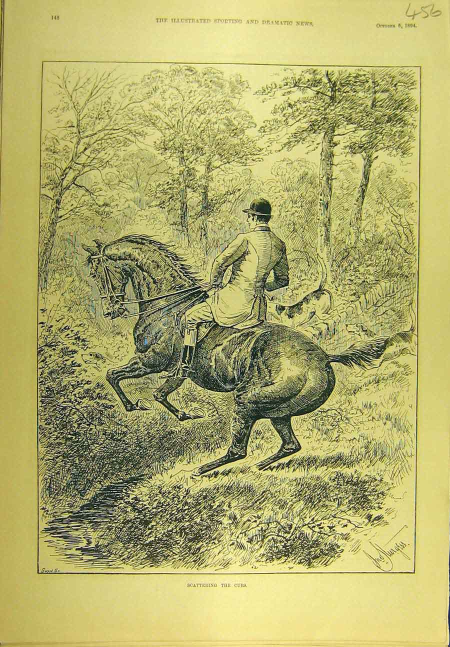 Original Old Antique Print 1894 Scattering Cubs Hunting Hounds Horse Sport 19th