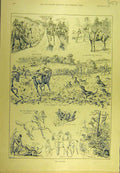Original Old Antique Print 1894 Cub-Hunting Hounds Turnips Sketches Hunters 19th