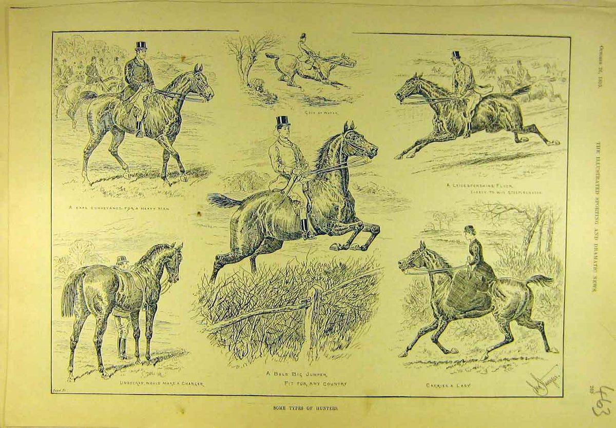 Original Old Antique Print 1895 Hunters Horses Jumper Charger Flyer Hunting 19th