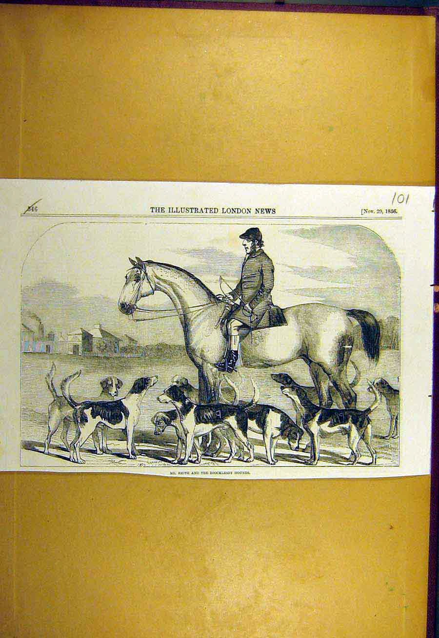 Original Old Antique Print 1856 Smith Brocklesby Hounds Hunting Hunt Victorian