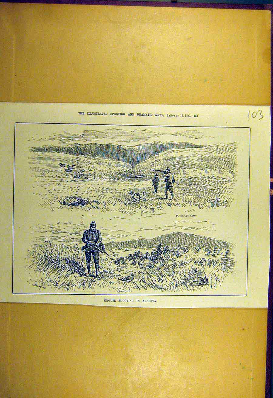 Original Old Antique Print 1887 Grouse Shooting Alberta Canada 19th