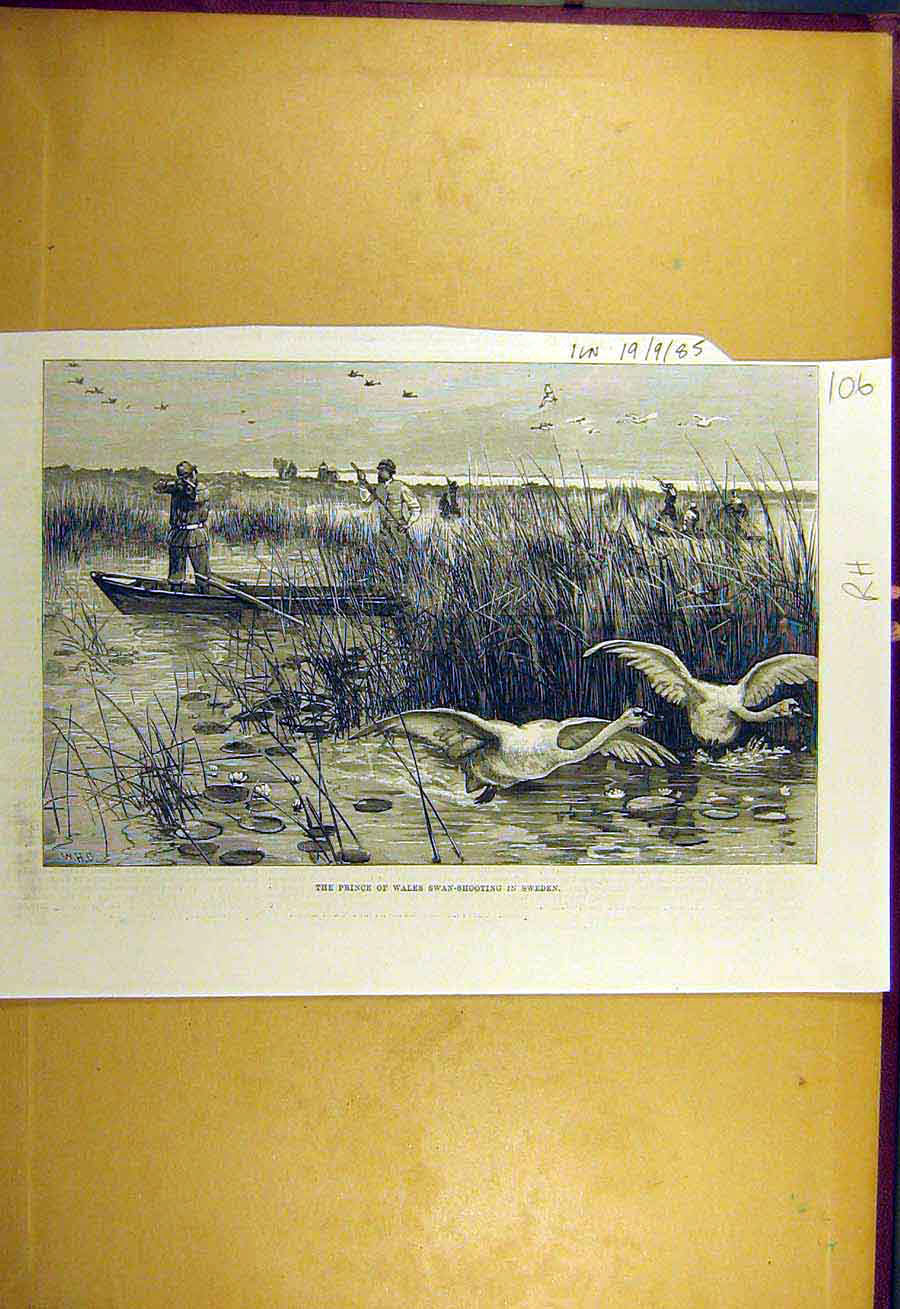Original Old Antique Print 1885 Prince Wales Swan-Shooting Sweden Bird Victorian