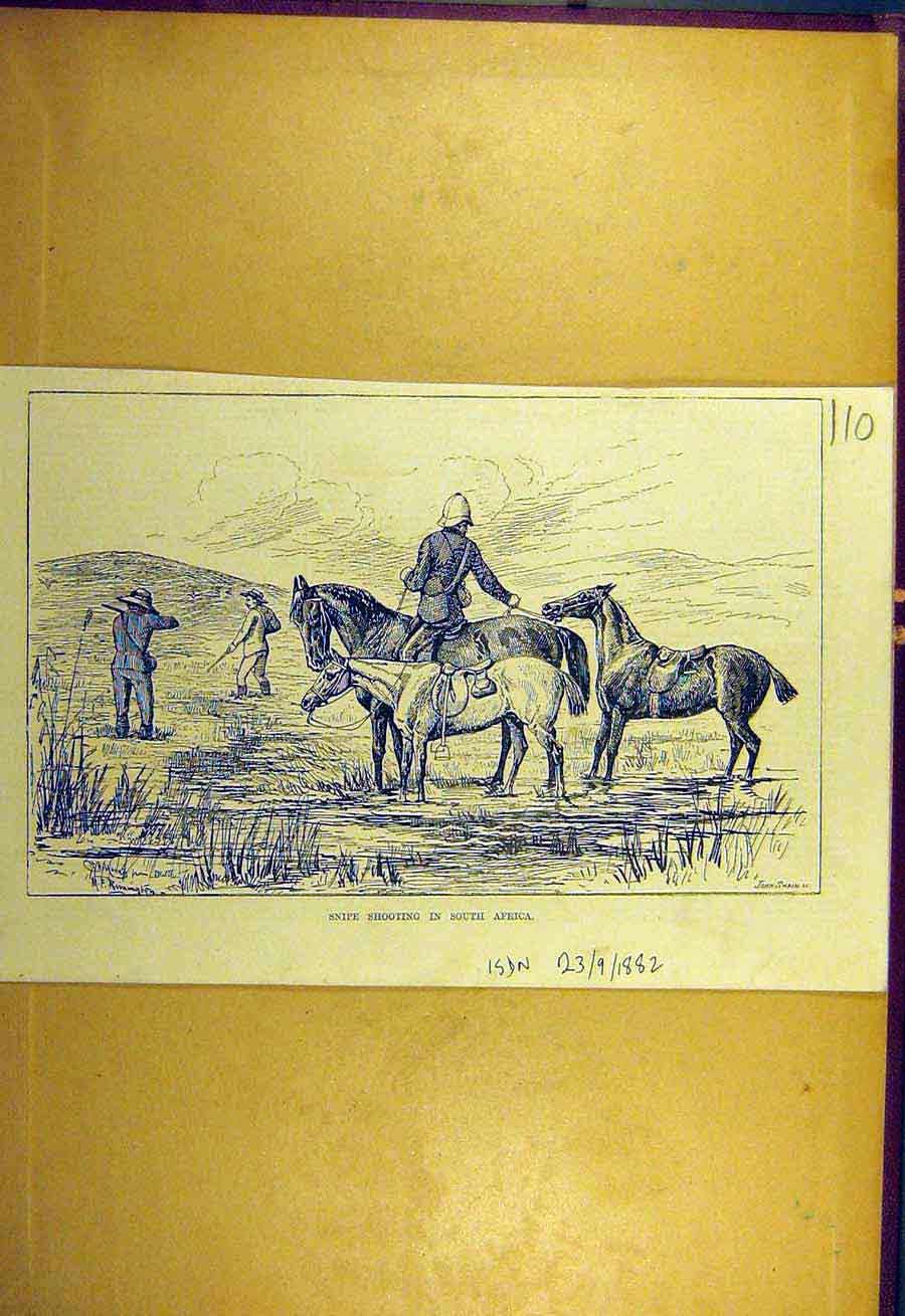 Original Old Antique Print 1882 Snipe Shooting South-Africa Sport 19th