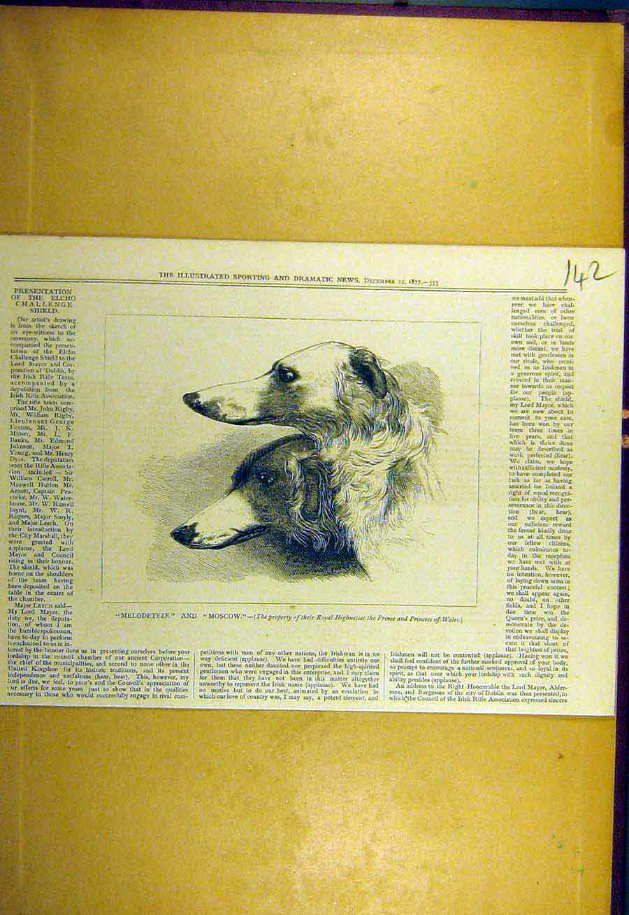 Original Old Antique Print 1877 Melodeteze Moscow Royal Hounds Dogs Sporting