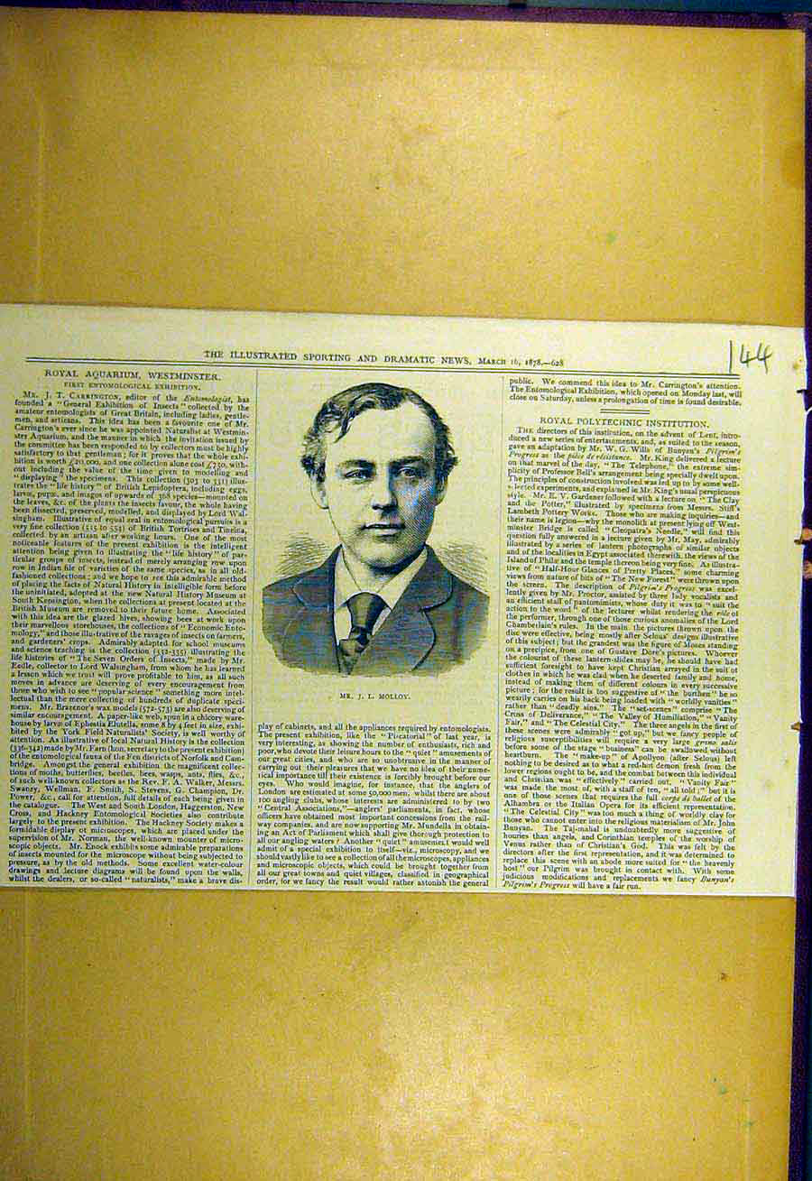 Original Old Antique Print 1878 Portrait Molloy Sporting Dramatic News Victorian