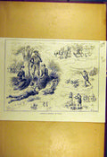 Original Old Antique Print 1883 Partridge Shooting Natal South-Africa Sport 19th