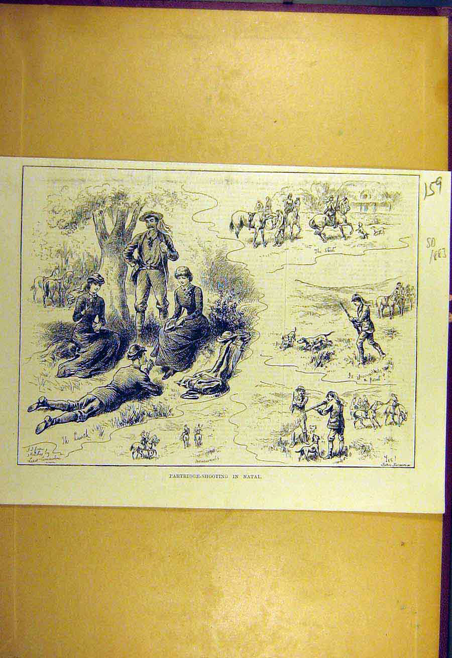 Original Old Antique Print 1883 Partridge Shooting Natal South-Africa Sport 19th