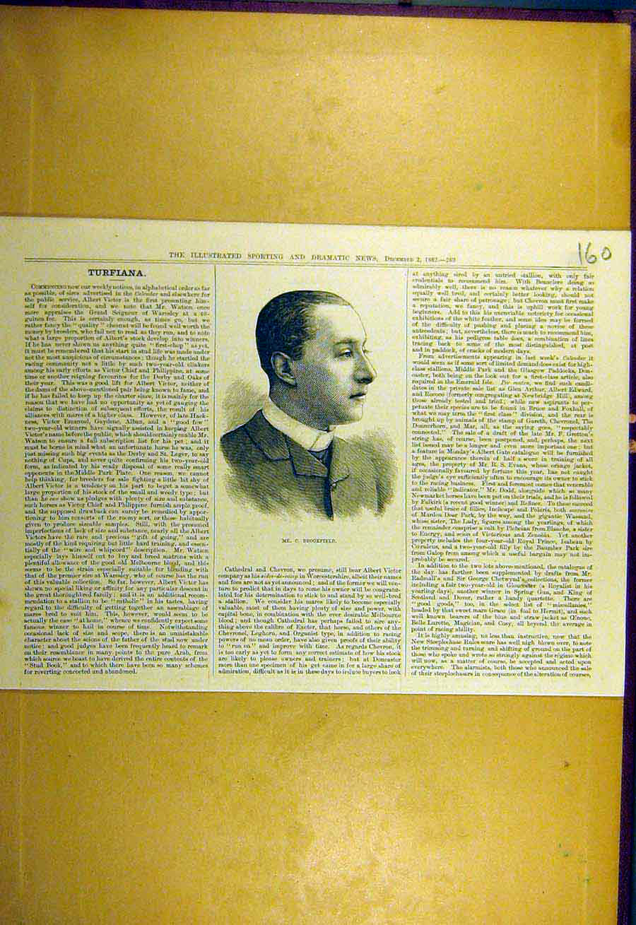 Original Old Antique Print 1882 Brookfield Turfiana Portrait 19th