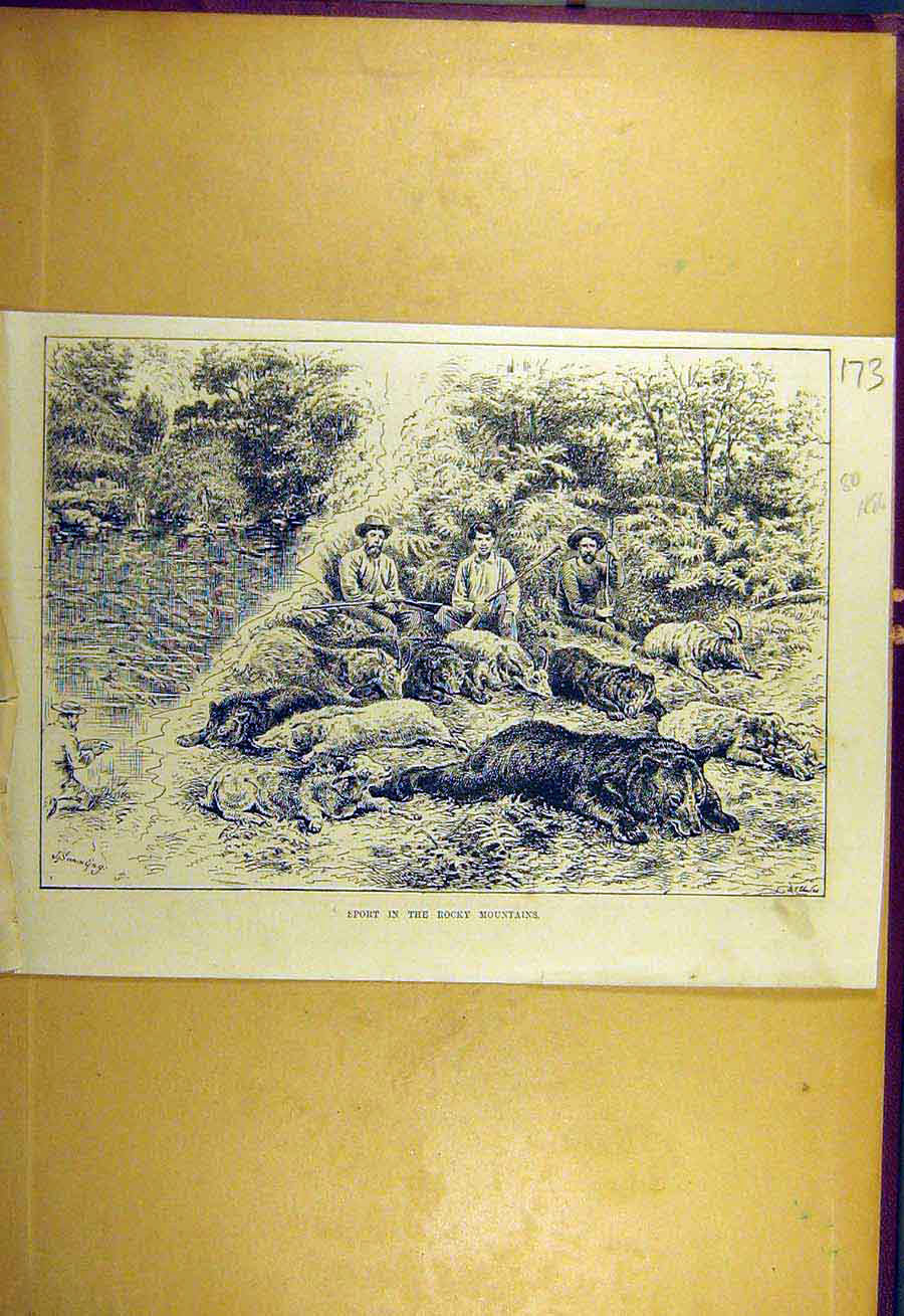 Original Old Antique Print 1886 Sport Rocky Mountains Bear-Hunt Shooting 19th