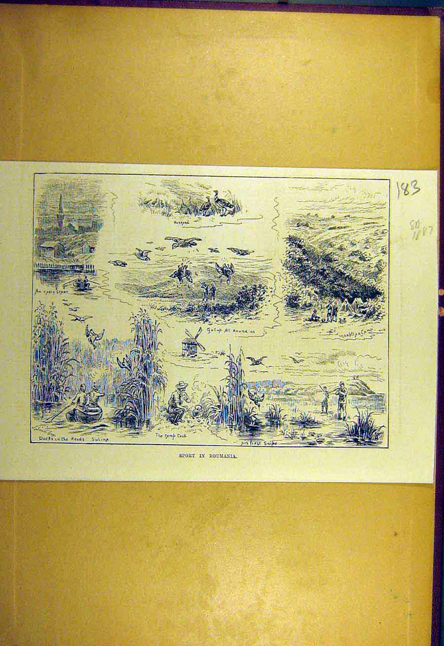 Original Old Antique Print 1887 Sport Roumania Duck Shooting Sporting News 19th