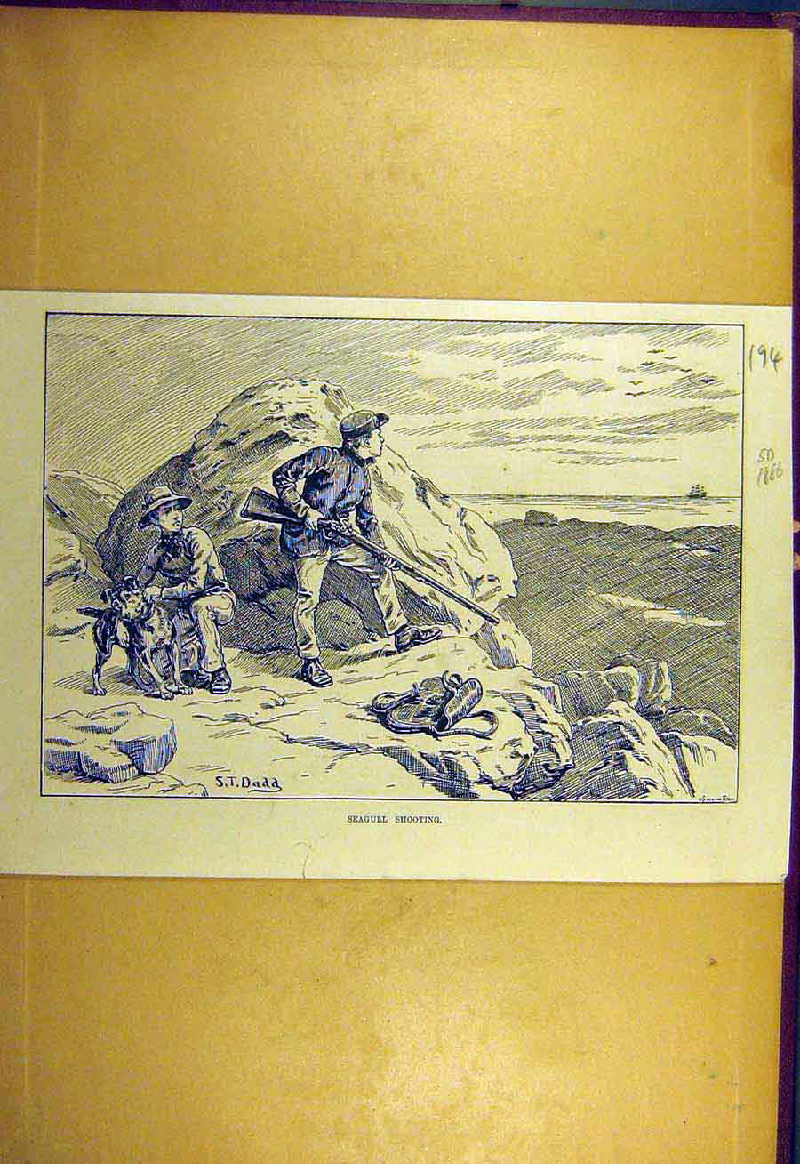 Original Old Antique Print 1886 Seagull Shooting Dadd Sport Beach Boys Victorian