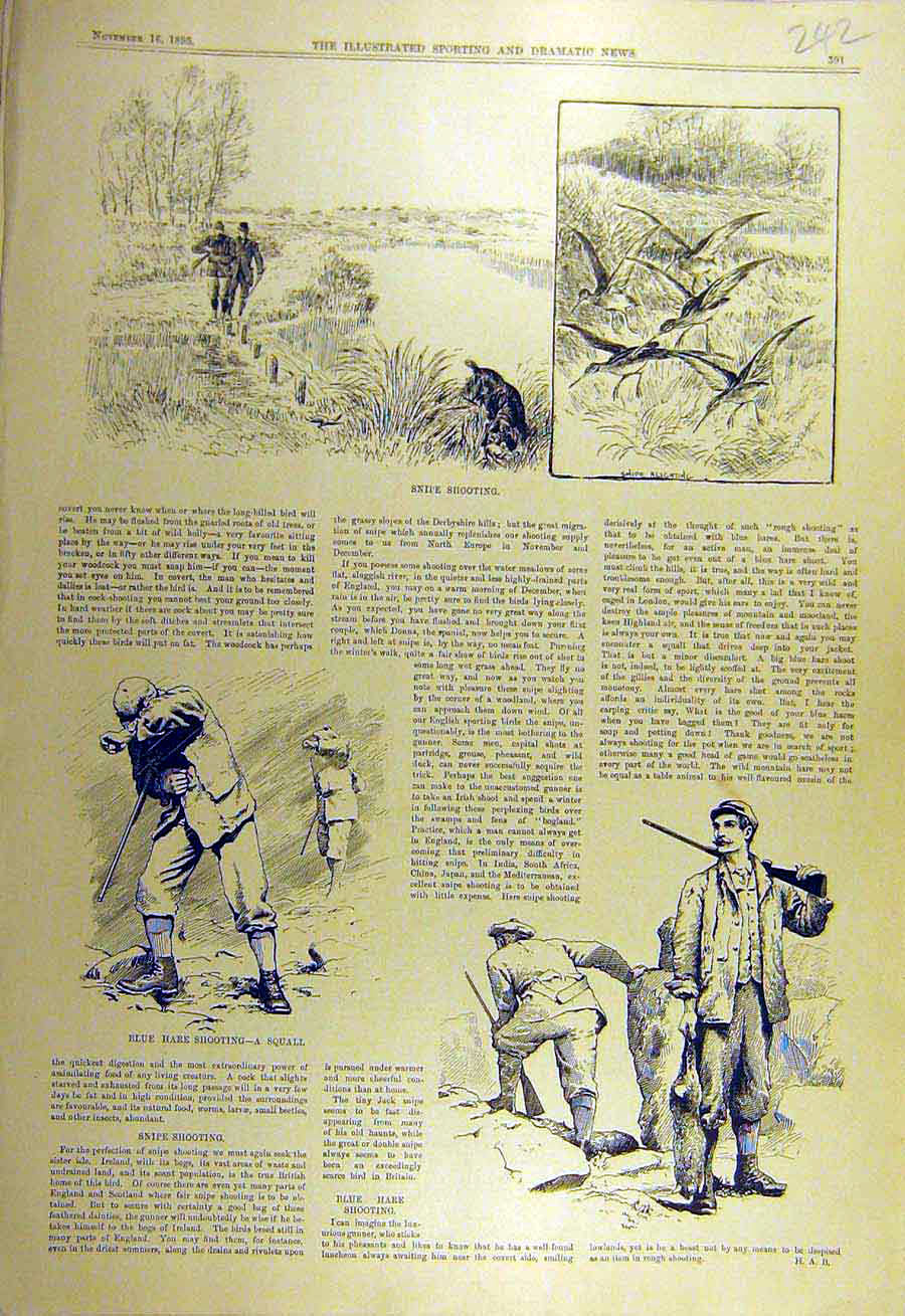 Original Old Antique Print 1895 Snipe Shooting Sketches Blue-Hare Squall Sport