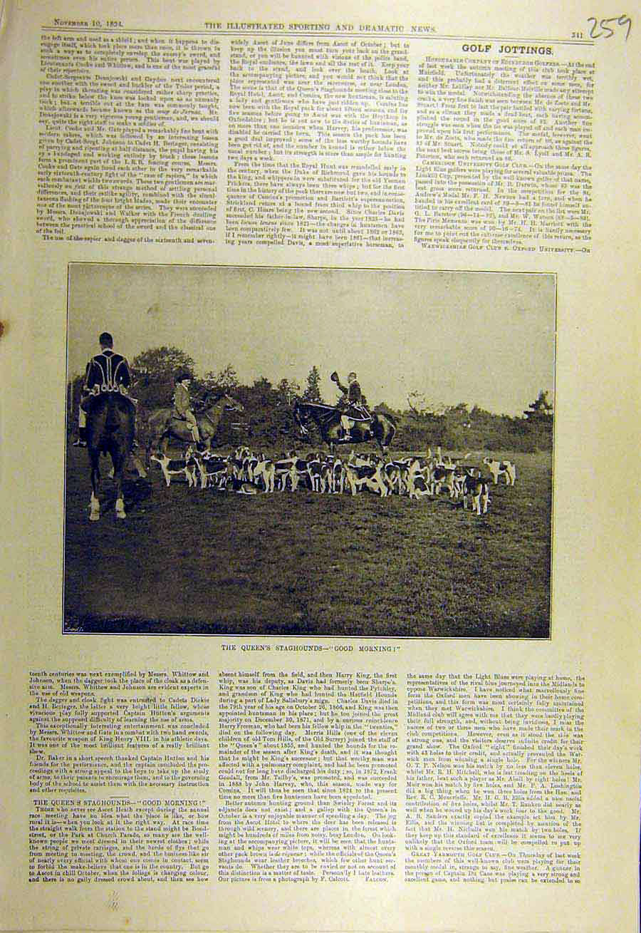 Original Old Antique Print 1894 Queen'S Stag-Hounds Hunting Kennels Sport 19th