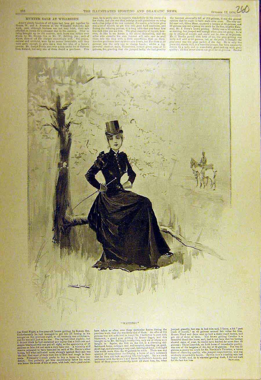 Original Old Antique Print 1894 Waiting Hunting Sketch Lady Hunt 19th
