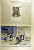 Old Antique Print 1882 Victor Puppies Fox-Fur Hounds Cup Murdoch Cricket 19th