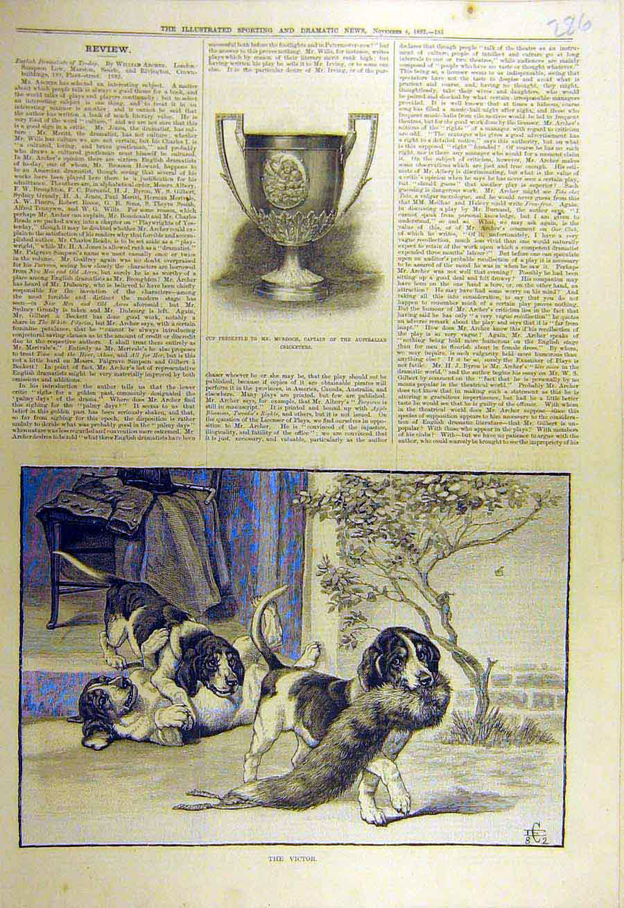 Old Antique Print 1882 Victor Puppies Fox-Fur Hounds Cup Murdoch Cricket 19th