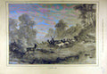 Original Old Antique Print 1880 Startled Herd Deer Forest Animal 19th