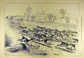 Original Old Antique Print 1877 Hounds Hunt Hunting Field Gallop Hunters 19th