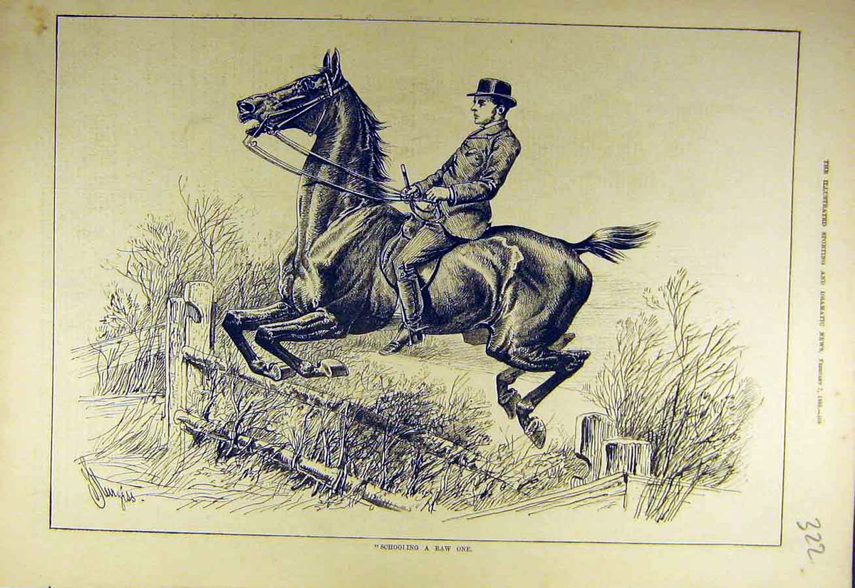 Original Old Antique Print 1880 Schooling Hunter Horse Jump Fence Hunting Hunt