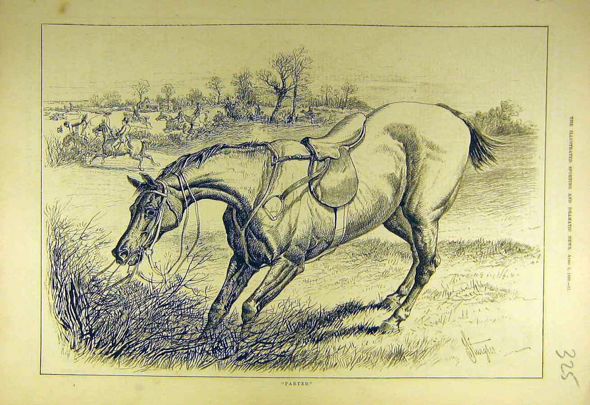 Original Old Antique Print 1880 Parted Horse Rider Refusal Jump Hunter Hunt 19th