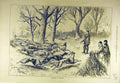 Original Old Antique Print 1878 Saplings Training Hounds Hunt Hunting Sport 19th
