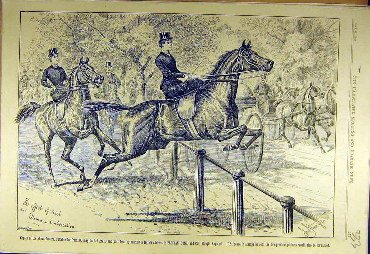 Original Old Antique Print 1889 Elliman Hunters Horse Riders Jump Hunt Victorian
