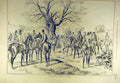 Original Old Antique Print 1878 Zeiland Hounds Stapleton Hunt Sport Hunting 19th