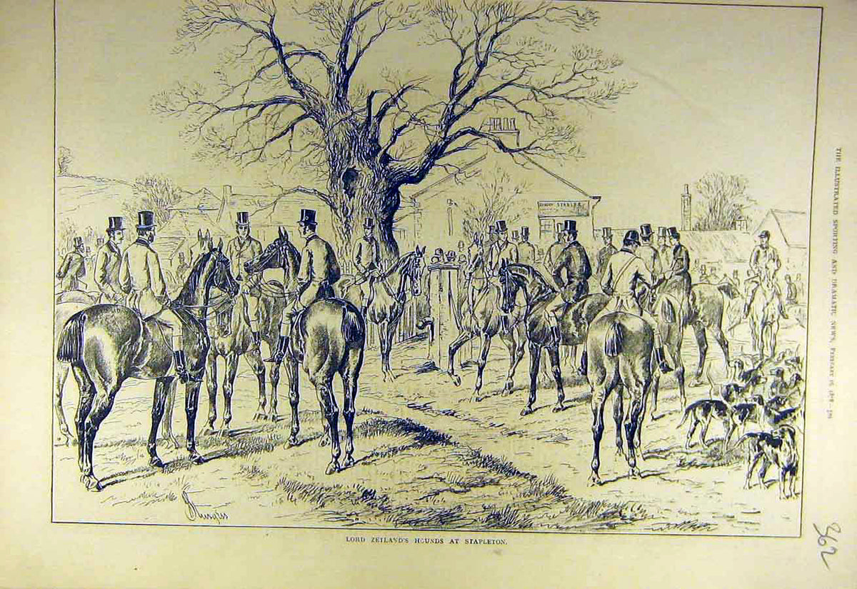 Original Old Antique Print 1878 Zeiland Hounds Stapleton Hunt Sport Hunting 19th