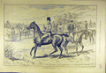 Original Old Antique Print 1889 Zealand Hunting Field Horses Riders Hunters 19th