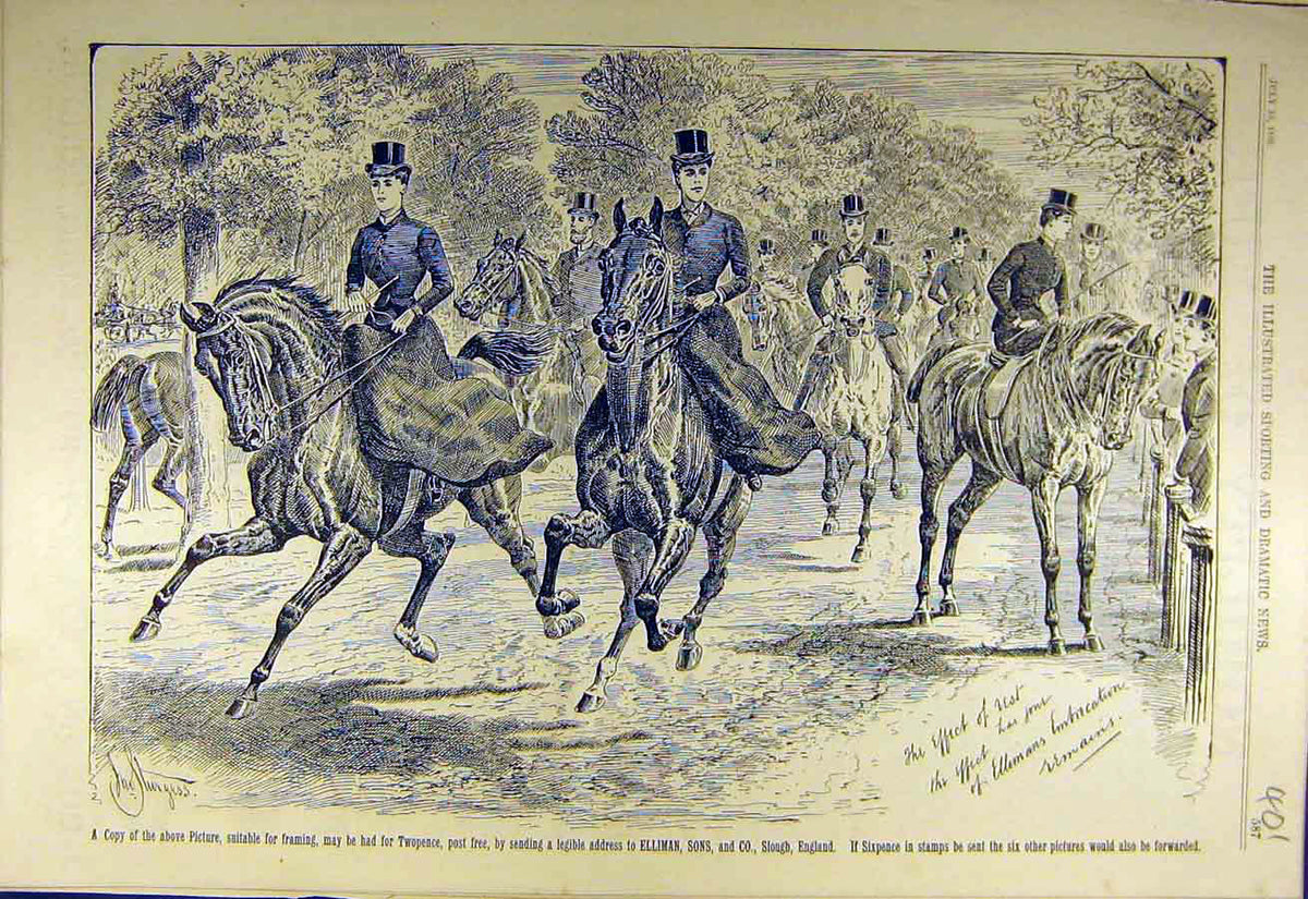 Original Old Antique Print 1889 Ellimans Embrocation Advert Riders Horses 19th