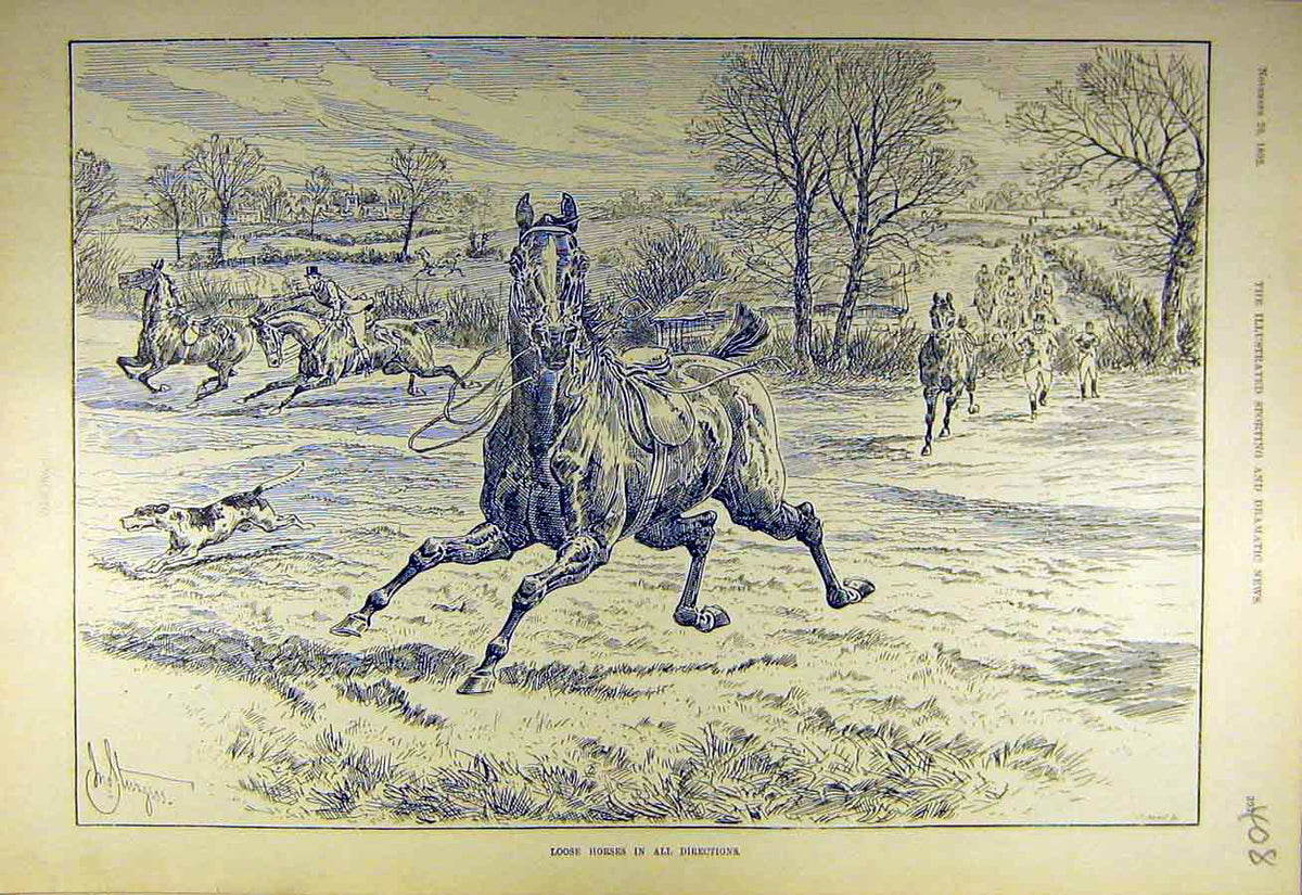Original Old Antique Print 1892 Loose-Horses Hunters Hounds Riders Hunting 19th
