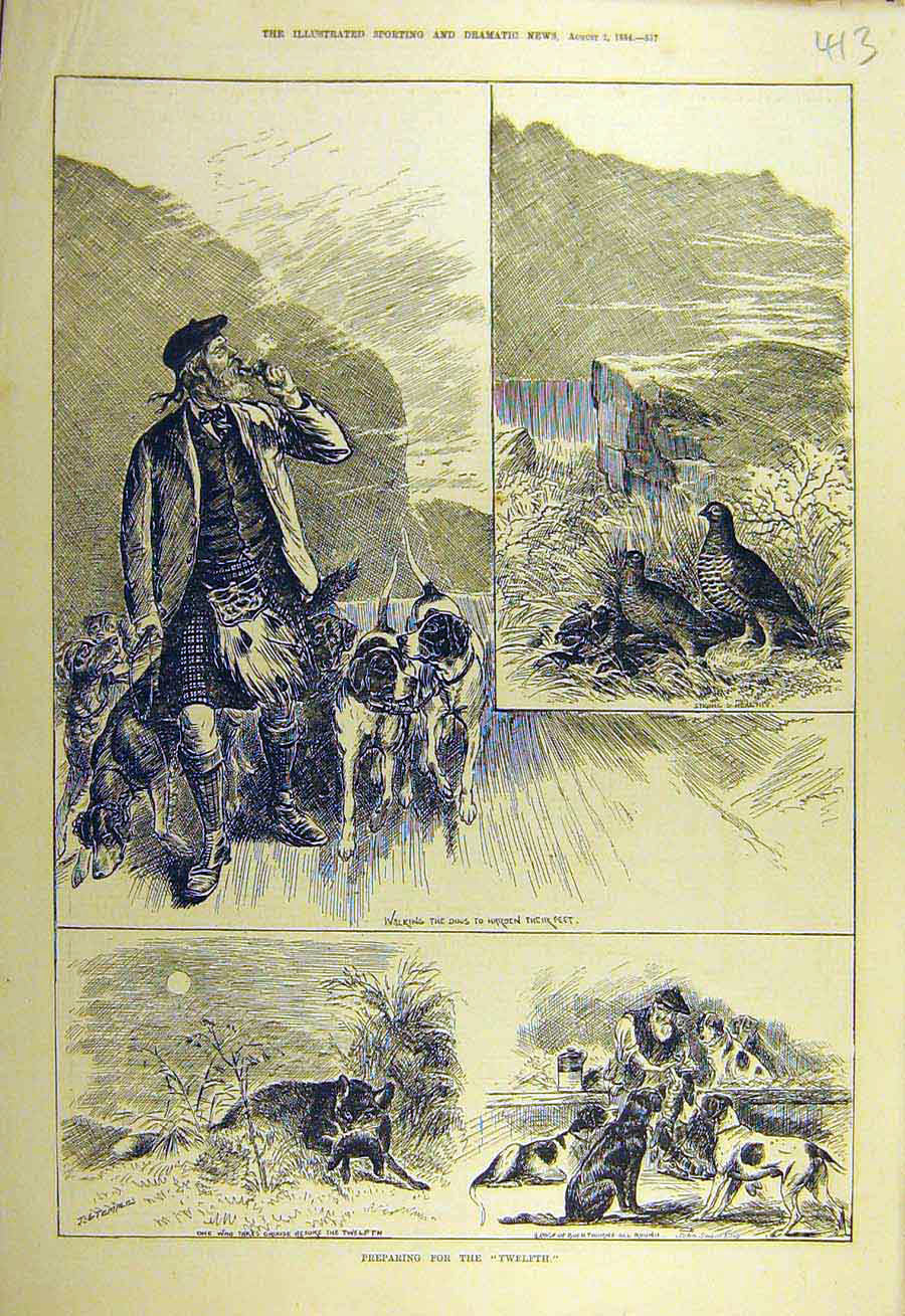 Original Old Antique Print 1884 Dogs Hounds Fox-Hunting Buckthorne Partridge