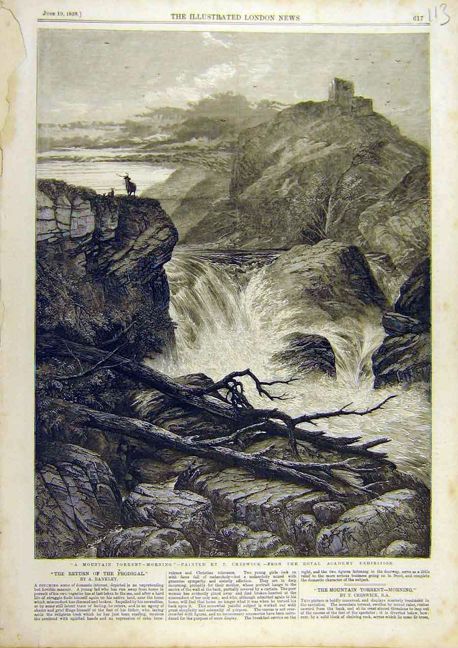 Original Old Antique Print 1858 Creswick Fine Art Mountain Torrent River 19th
