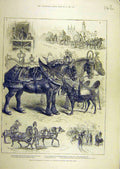 Original Old Antique Print 1882 May-Day Procession Horses Newcastle-On-Tyne 19th