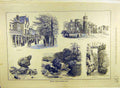Original Old Antique Print 1886 Sketches Tonbridge-Wells Landscape Bridge-Castle