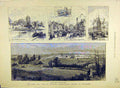 Original Old Antique Print 1884 Bath West-England Agricultural Society Maidstone