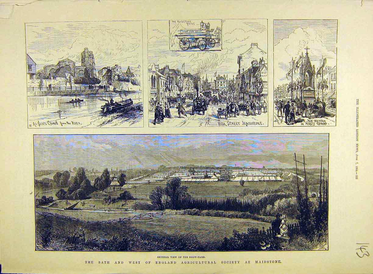 Original Old Antique Print 1884 Bath West-England Agricultural Society Maidstone