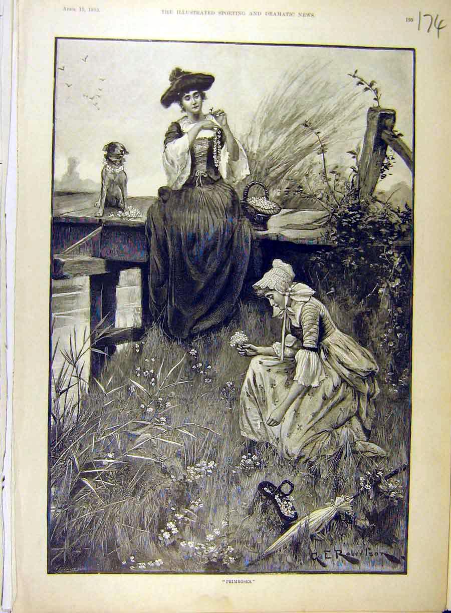 Original Old Antique Print 1893 Primroses Ladies Dog Country Sketch Robertson