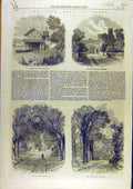 Original Old Antique Print 1869 Earl Derby Knowsley Lodge Park Liverpool 19th