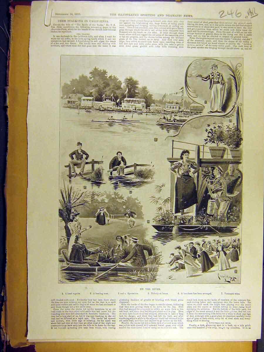 Old Antique Print 1895 Henley Regatta River Ladies-Plate Sculls Boat Race 19th