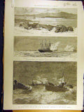 Old Antique Print 1888 Naval Manoeuvres Ireland Squadron Berehaven Iris 19th